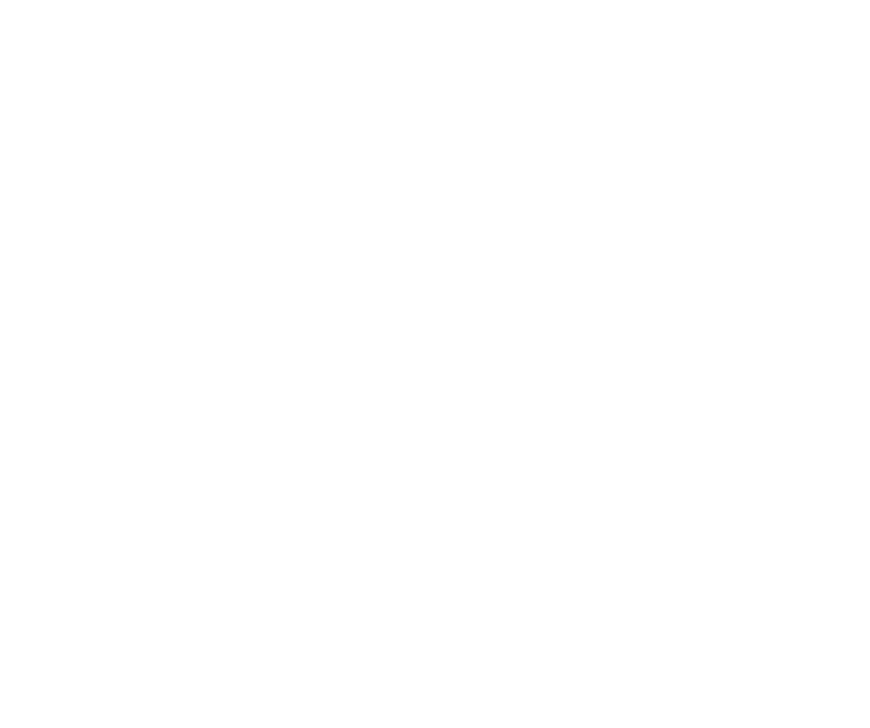 Aralinks logo